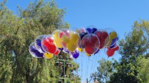 Clear Disneyland baloons with Mickey Mouse inside each baloon