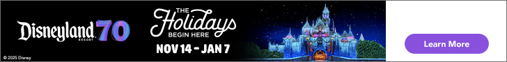 Disneyland Holidays Banner - click to get tickets